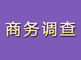 浉河商务调查